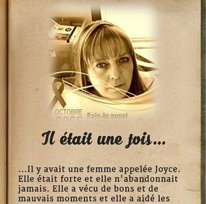 Meet your Posher, Joyce